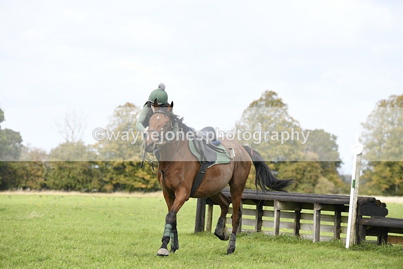 _DSC7935 - Time 12:55 to 13:13