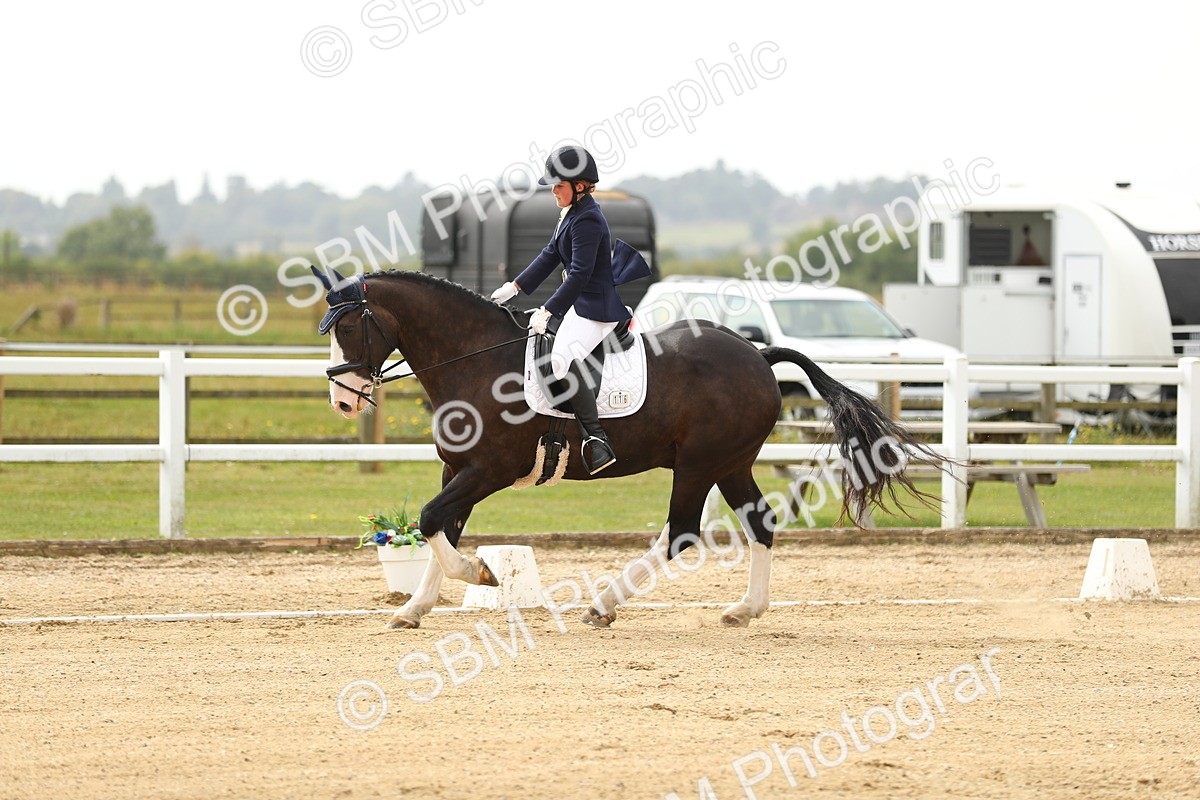 SBM_017247 - Class 13 - Novice 23 - 13.31-14.13