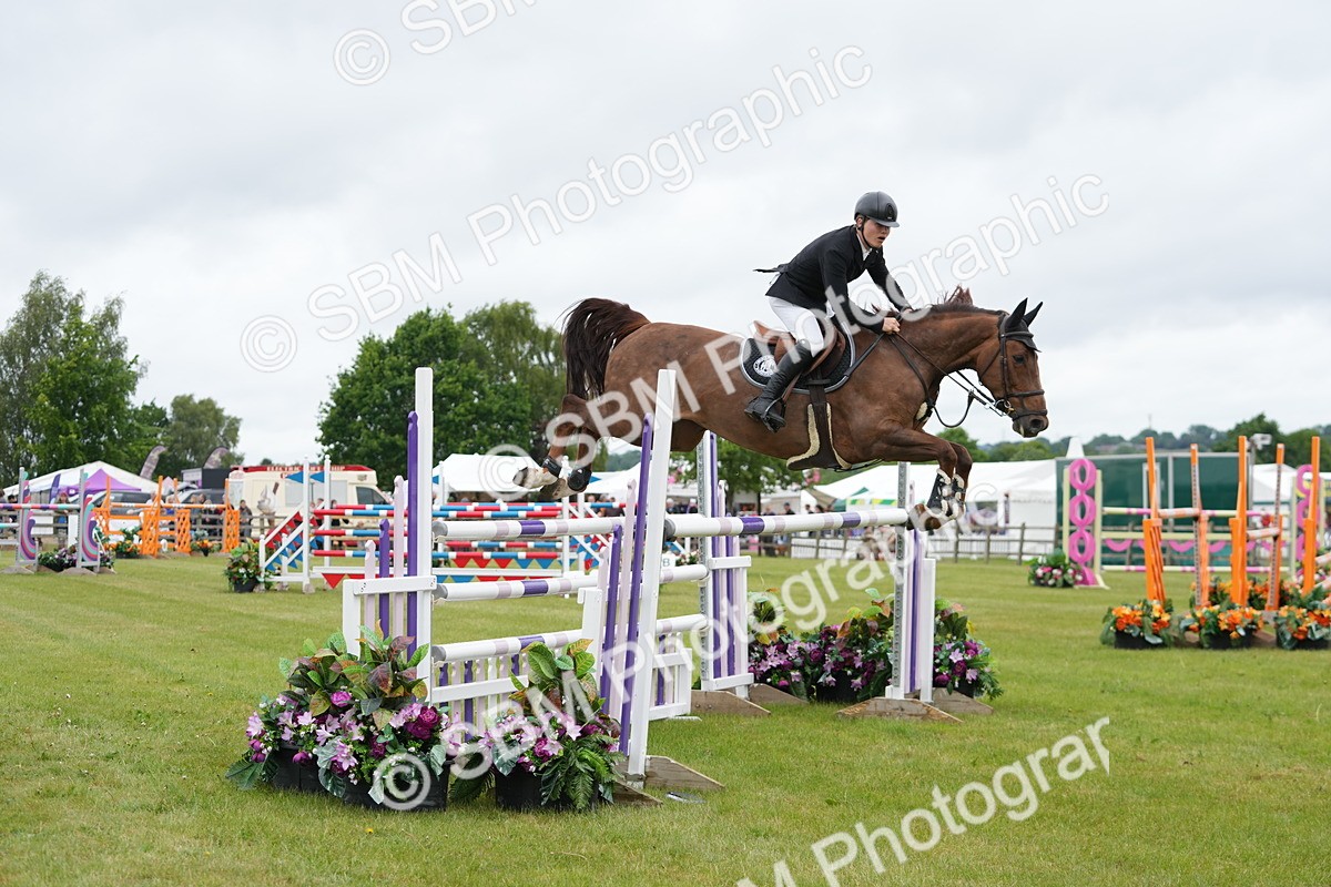 SBM_03436 - Class 201 - British Horse Feeds Speedi Beet Horse of the Year Show Grade  C