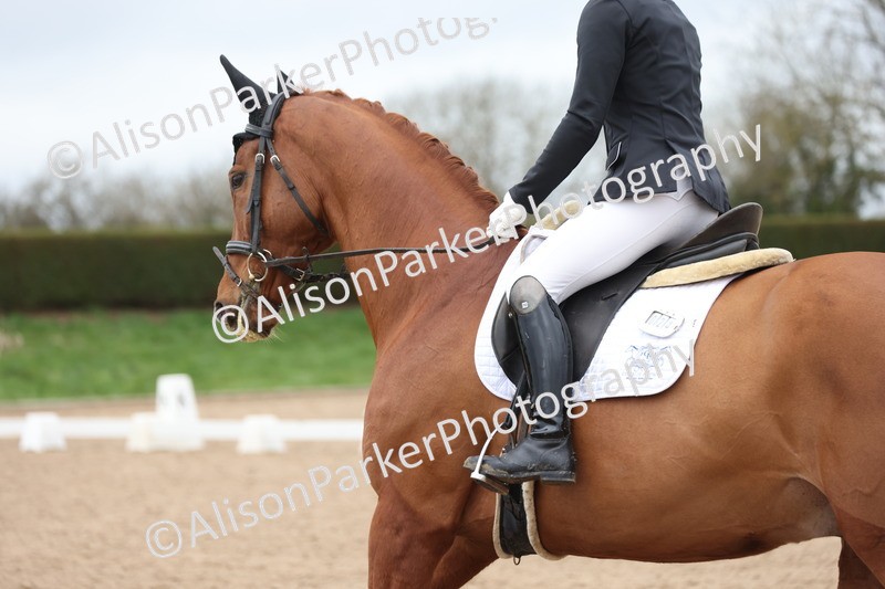 20260301-0393 - Class 3 - Novice 4