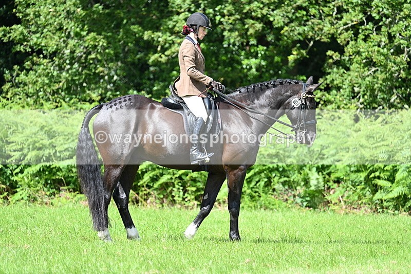 WJ7_1044 - Class 11 Condition & Turnout