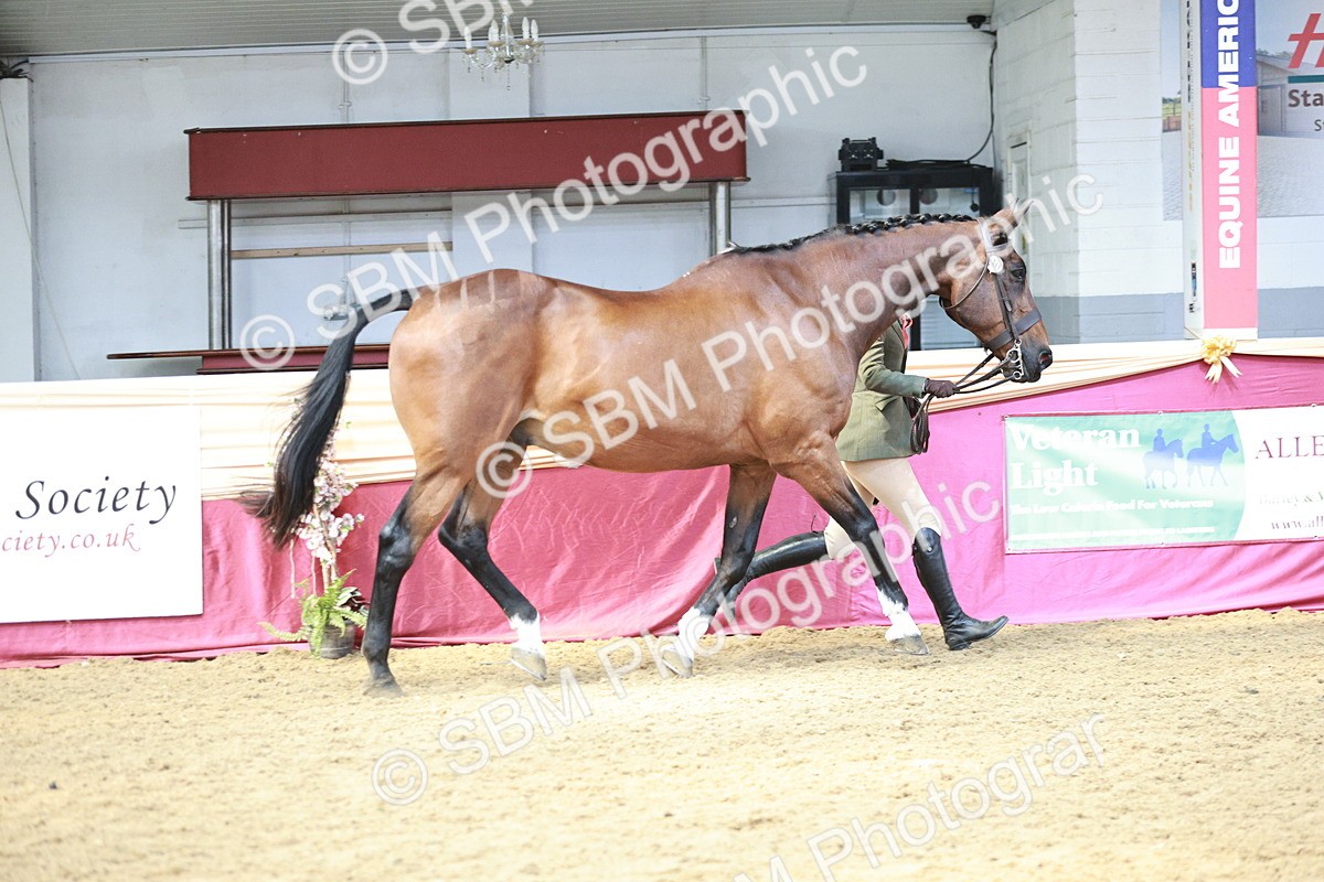 SBM_04757 - Class 7R - Regional IH Diamond