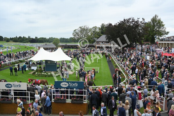 yr19082021r2-4 - Race 2 2.25pm Goffs UK Premier Yearling Stakes