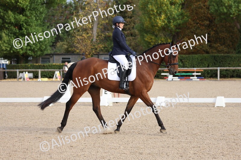 20250820-0049 - Class 5 - Team Quest Novice 2