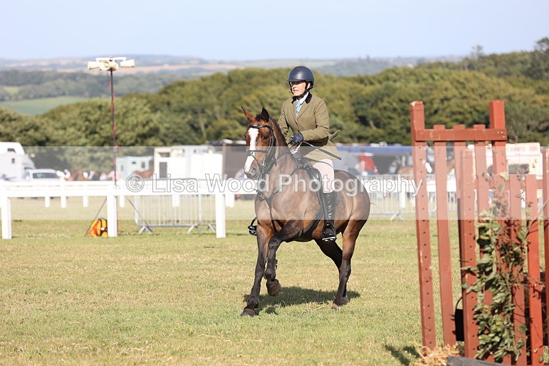 JPP_3135 - Class 21: Working Hunter 80cm