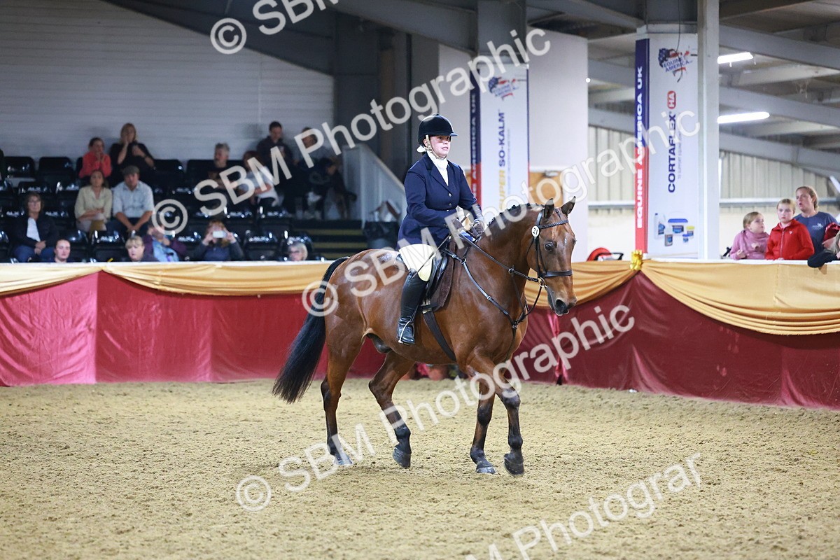 SBM_15689 - Class T - Working Veteran Champ