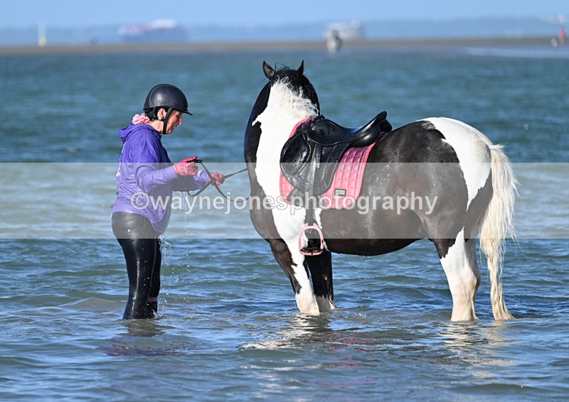 WJ7_3576 - Kellie & Churchill ... do Hayling Island 25-08-24