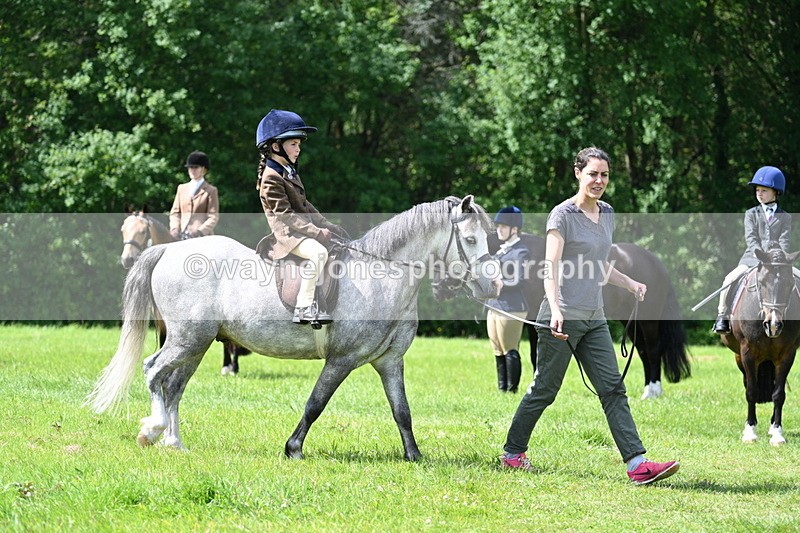 WJ7_1502 - Class 11 Condition & Turnout