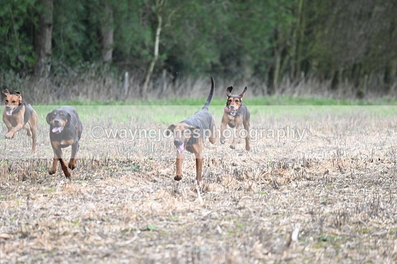 WJ6_9432 - Line Four