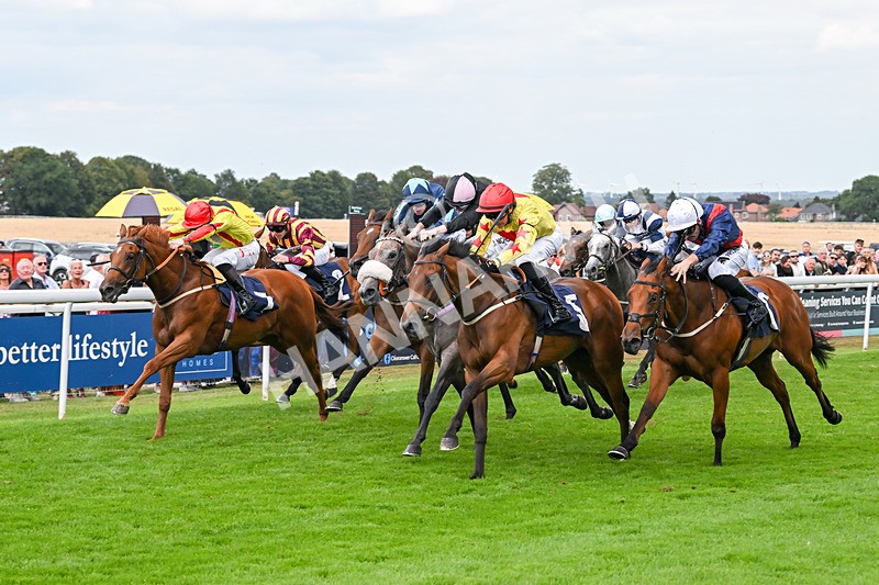 140825-Race 3-Rum Therapy-1045 - Race 3