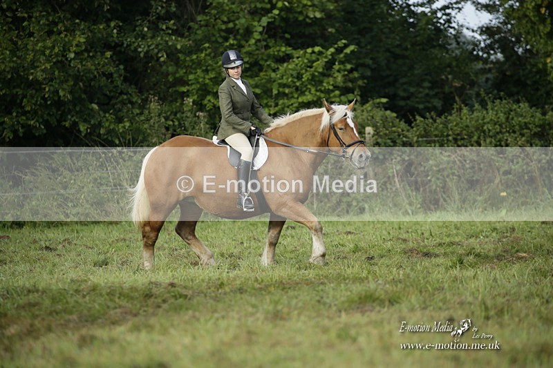 BVRC 120921 6 - Bourne Valley Riding Club UA Dressage & Show Jumping 12/09/21
