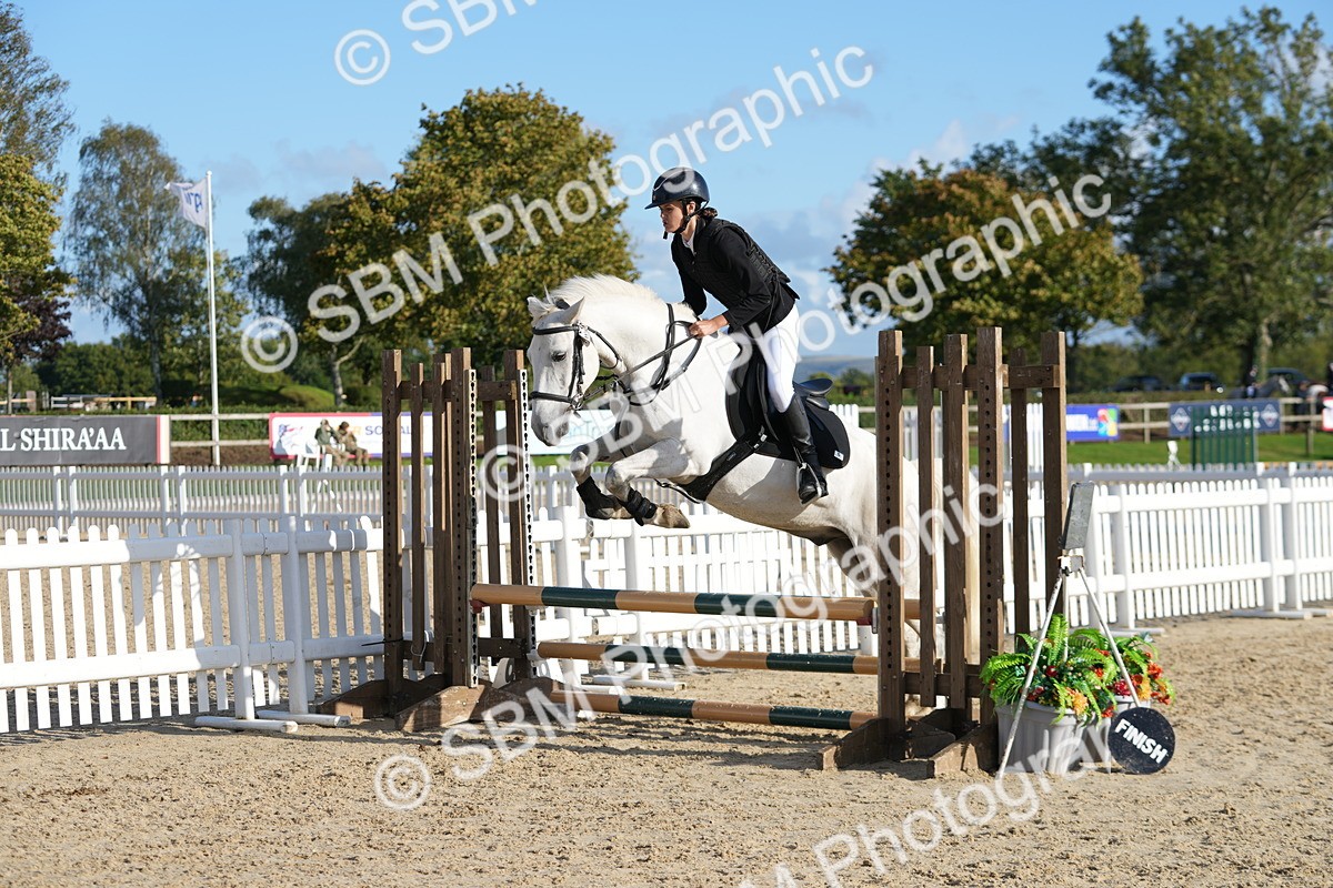 SBM_51205 - J8 - Junior Pony 65cm Championship