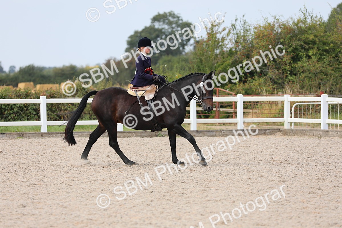 SBM_14637 - Class 211 Best Side Saddle Horse/Pony