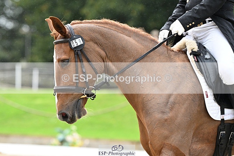 231019-145728-04320 - 059-MINNIE.MANOEUVREZ-Mark.Ford-DR