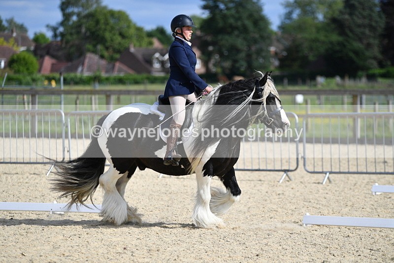 WJ5_7726 - Time 16:40 to 16:55