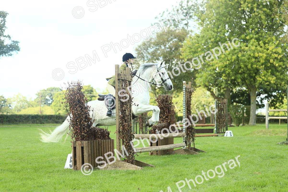 SBM_43033 - S30 - M&M Working hunter Pony