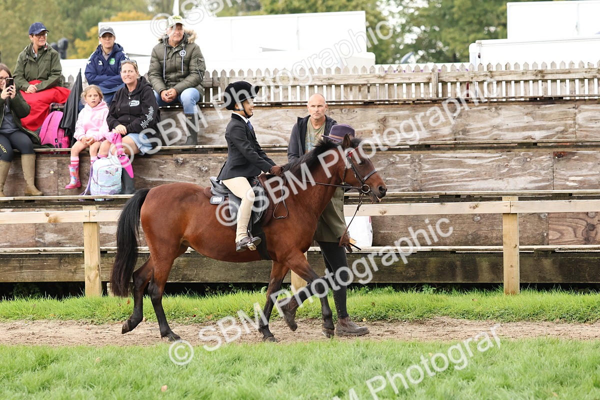 SBM_44932 - S27 - Young Veteran Ridden