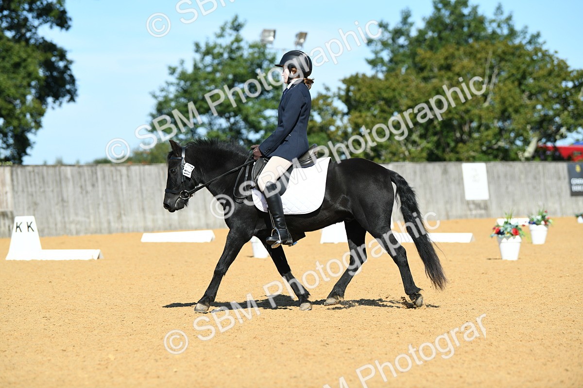 SBM_18190 - D4 - Small Tour Championship - Intro B