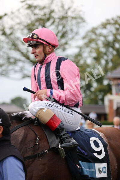 yr19082021r7-33 - Race 7 5.20pm British Stallion Studs EBF Fillies' Stakes