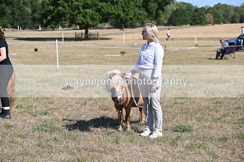 WJ6_7309 - Class 33 Rescue Pony