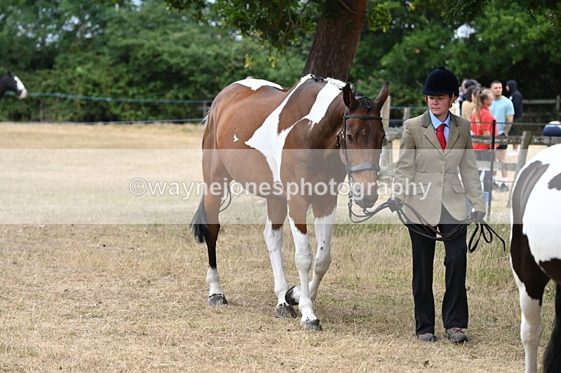 WJ6_7947 - Class 10 Coloured in Hand