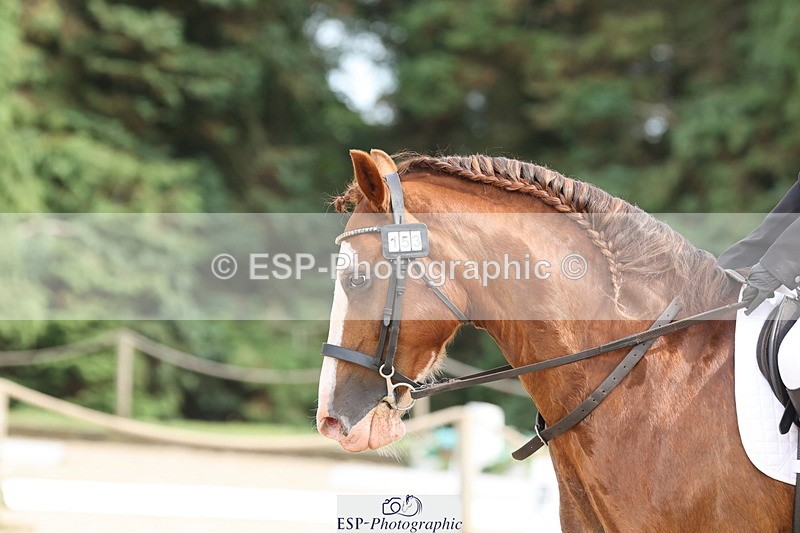 250718A-160142-02747 - 153-Grace.Coker-Brown-Yarty.Reflection