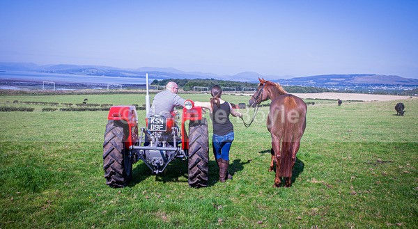  - Equine Gallery Portfolio