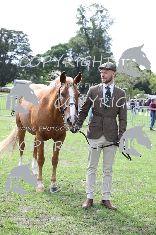 APP_2935 - Class 10a/b M&M in hand