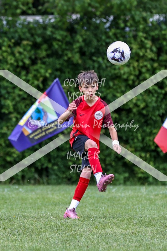 1DX31086 - Brook Field V Goddard Park