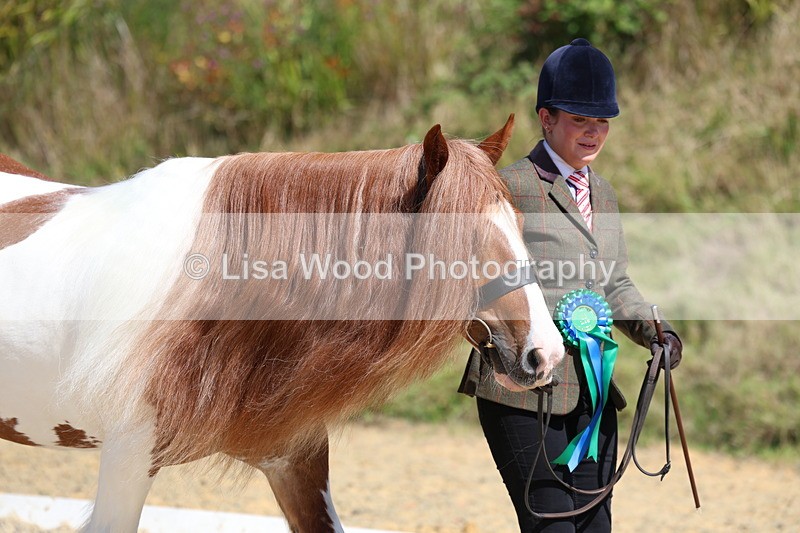 3E7A9811 - In Hand Championship