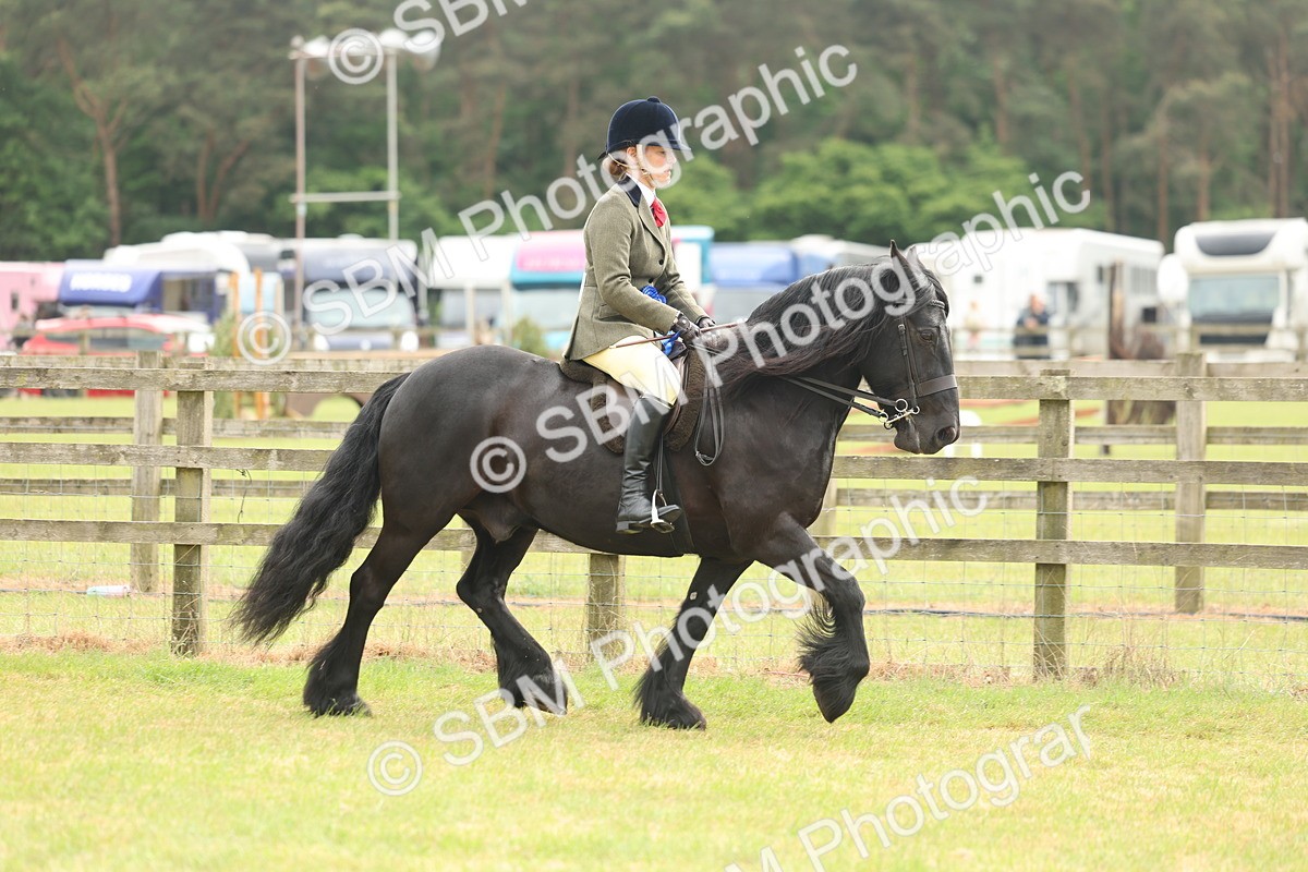 SBM_09171 - Class 78-80 - Ridden M&M Non Welsh Ponies
