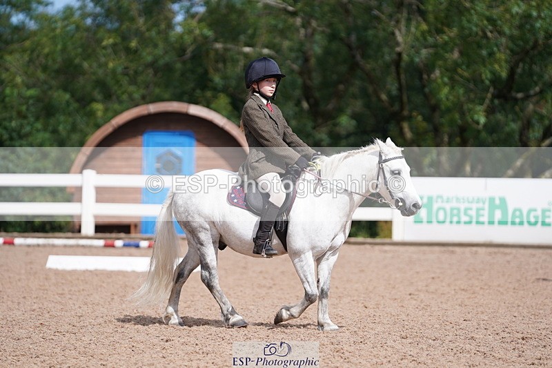 240809A-105008-00675 - Dressage Competition