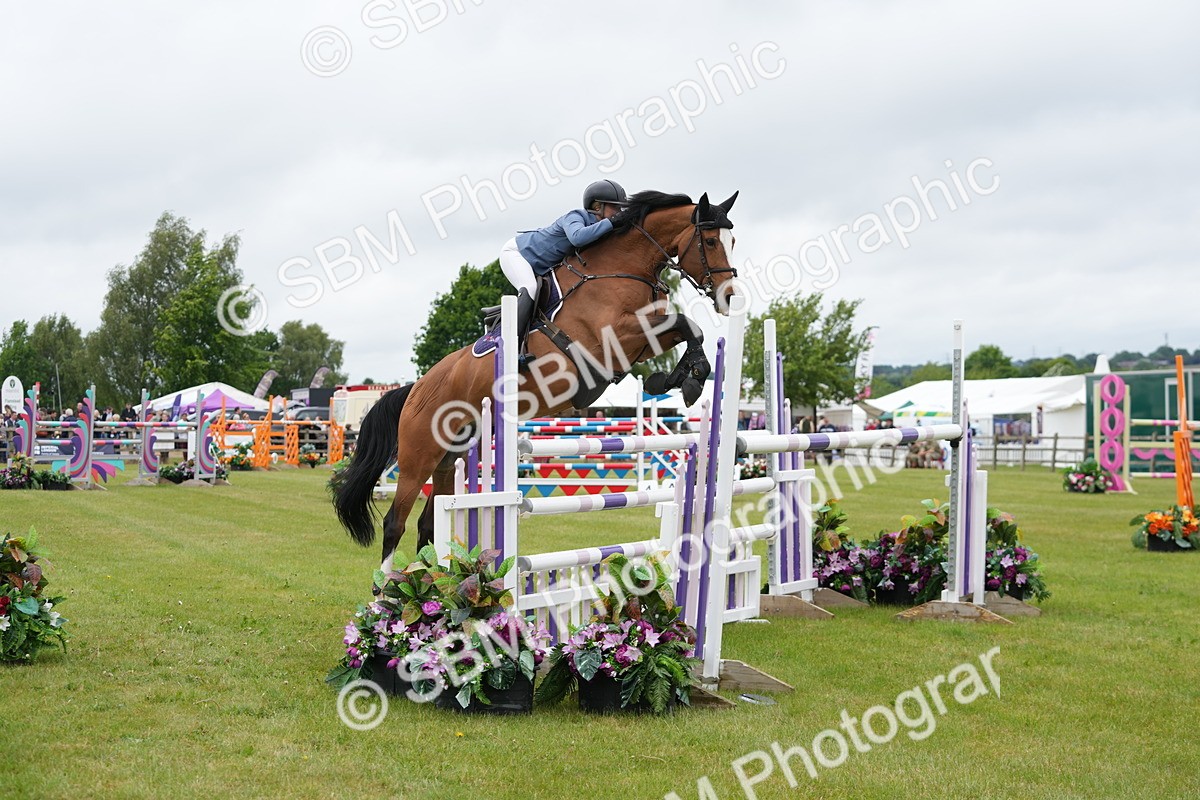 SBM_03347 - Class 201 - British Horse Feeds Speedi Beet Horse of the Year Show Grade  C