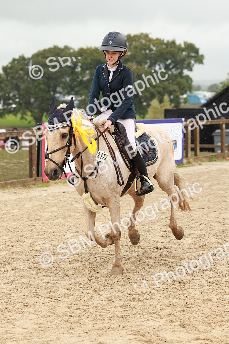 SBM_69471 - J13 - Junior Pony 60cm Championship