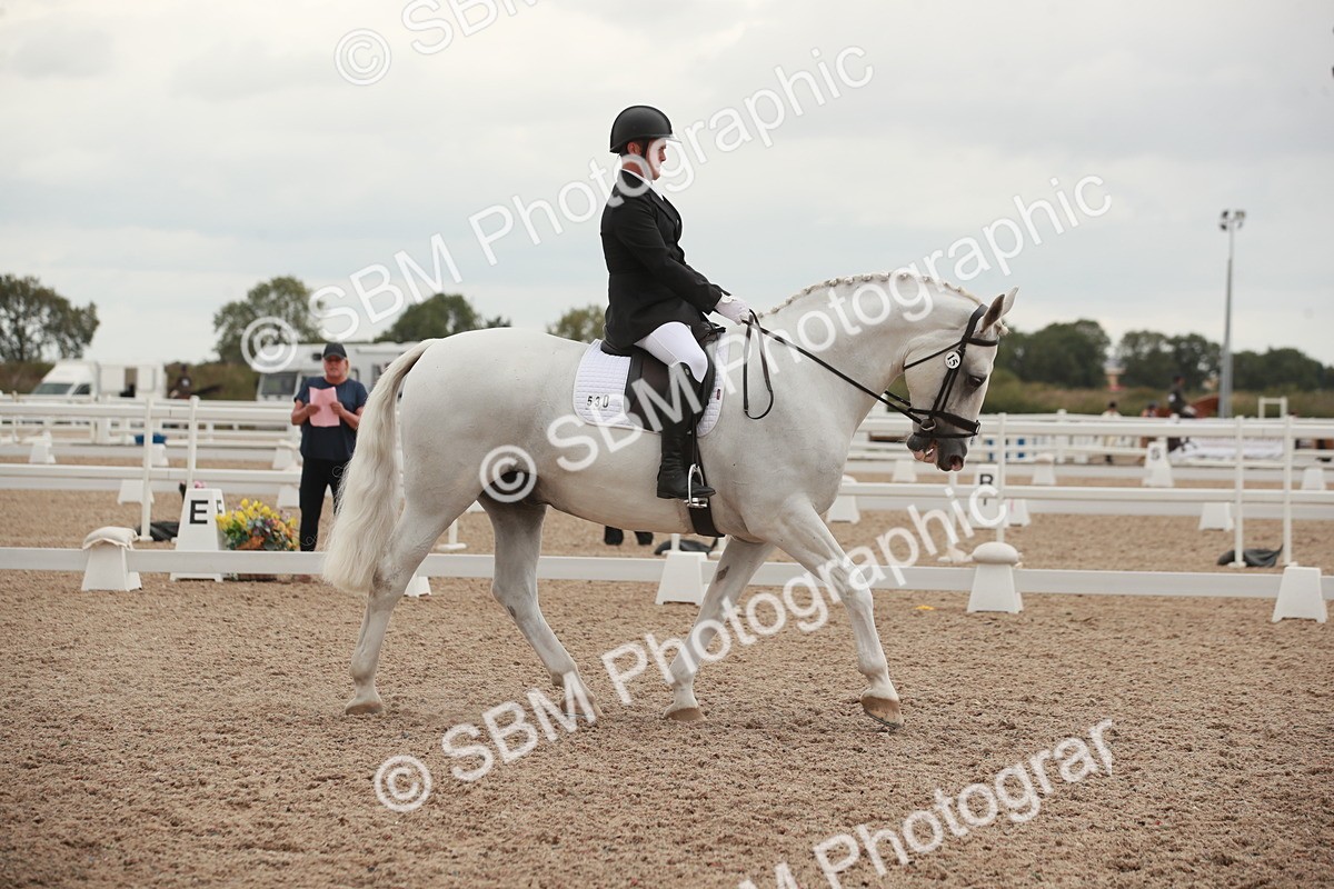 SBM_06160 - Class 33 - Elementary 1