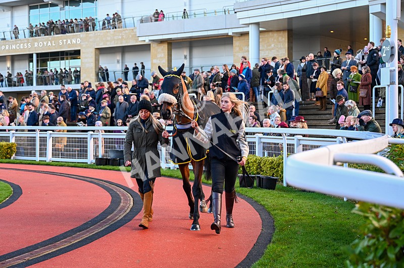 141224-Race 1-Ambiente Amigo-0308 - Race 1