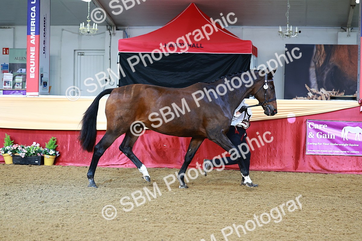 SBM_21942 - Class 901 - Supreme Final - IH  Diamond