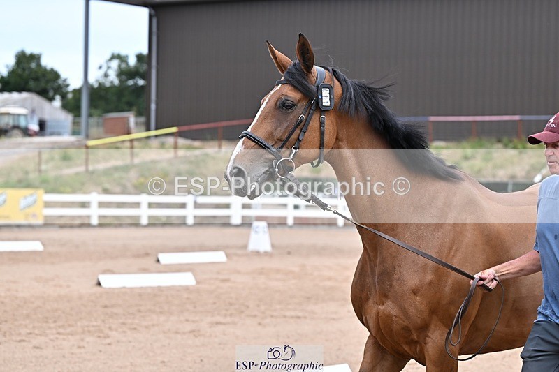250716-135457-00703 - Trot Up 1.30 to 2.30