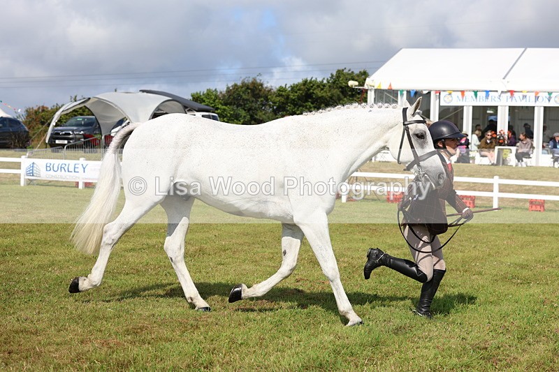 3E7A9140 - Class 3: Rising Star S/L Hunter