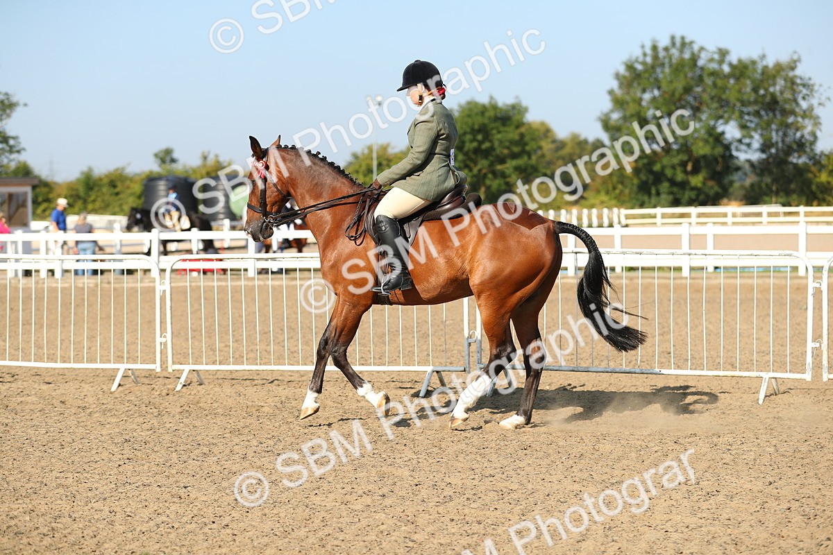 SBM_01215 - Class 42 Ridden Veteran
