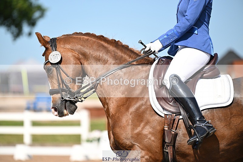 250620-162219-04493 - BD Cls 13 - Adv Medium 5