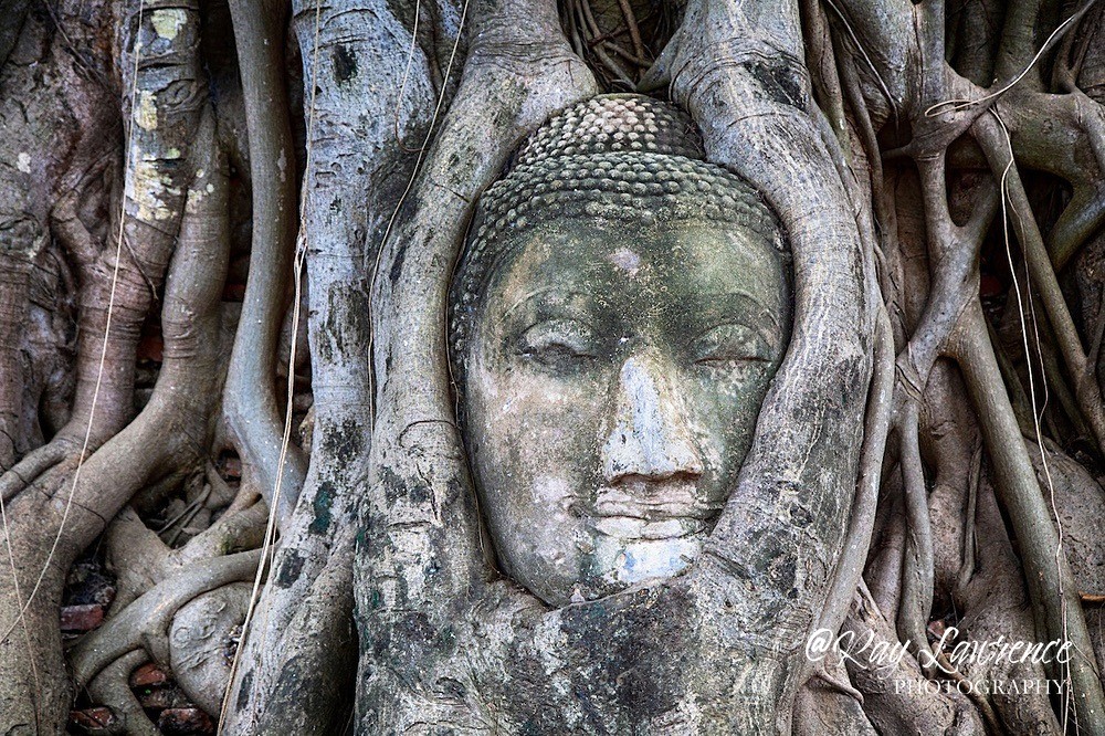 Wat Mahathat Buddha -87 - Creative - Fine Art