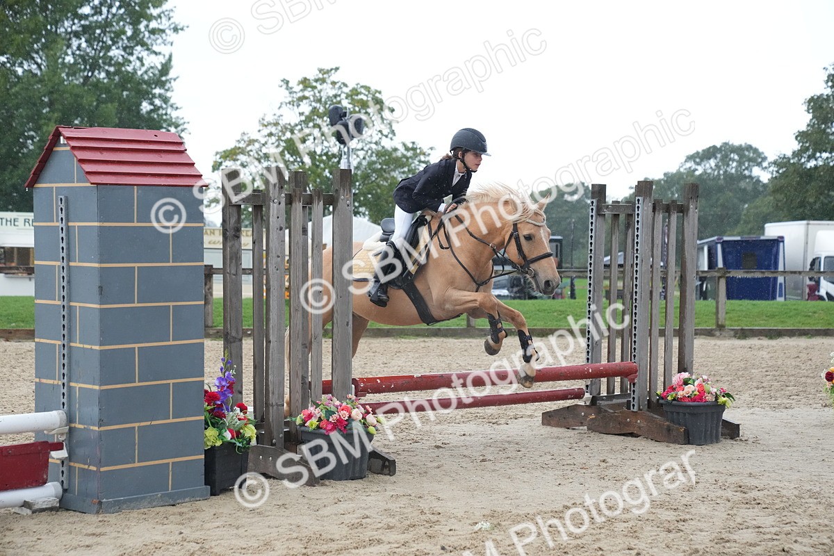 SBM_01610 - J54 - Clear Round 50cm