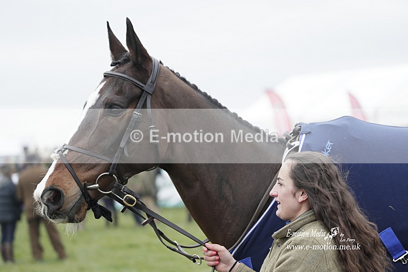 PtP 050323 374 - Blackmore & Sparkford Vale Hunt PtP - Somerset 05/03/23