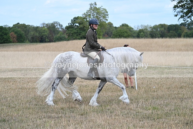 WJ7_4762 - Class 12 Ridden Cob