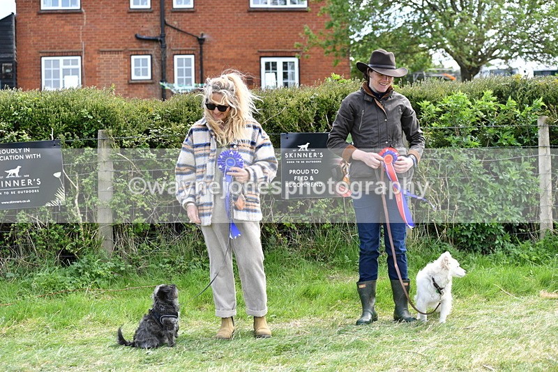 WJ5_0860 - Best in Show Championship