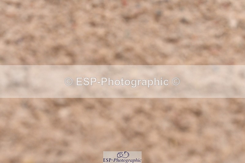 240121A-093807-00260 - Cls 2 Prelim 17A