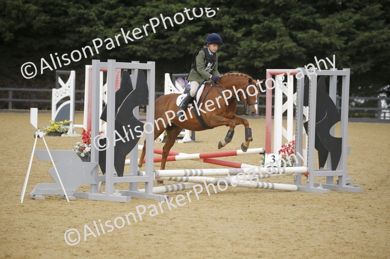 20250622-1509 - 40cm