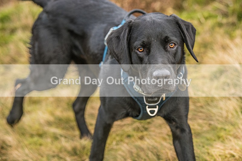 Blake Fell-997 - Blake Fell Race Saturday 25th January 2025