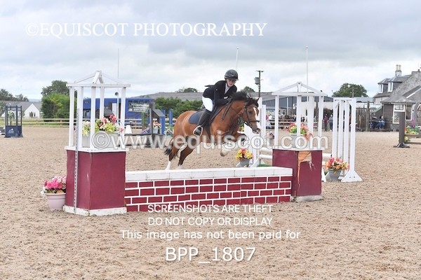 BPP_1807 - DERBY CLASS 5 - 60CM